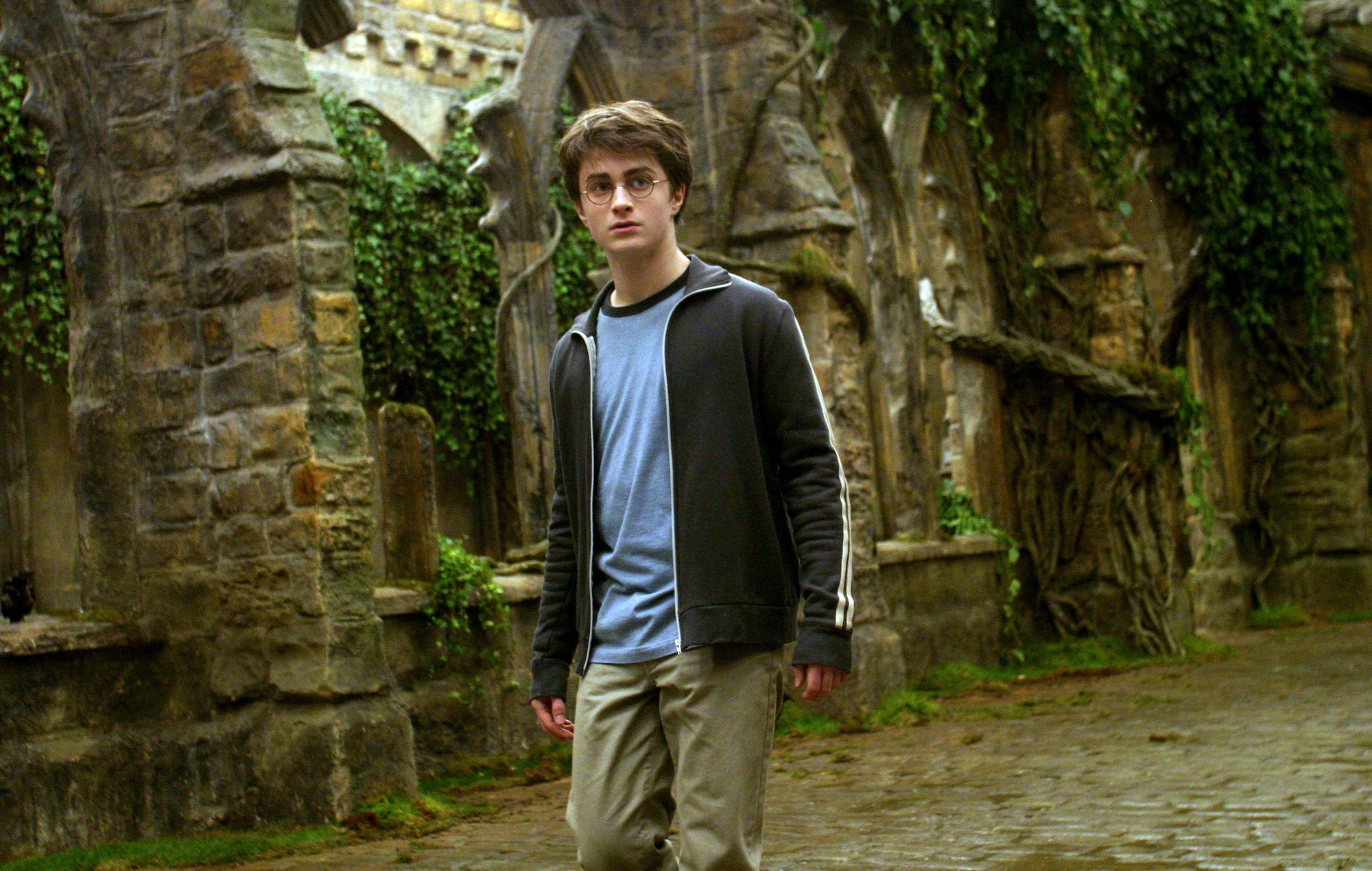 New Harry Potter TV Show: Faithful Book Adaptation & Christmas Premiere